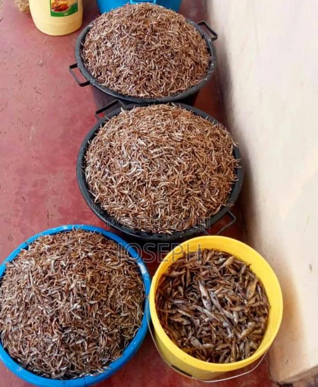 Fresh Fried Omena