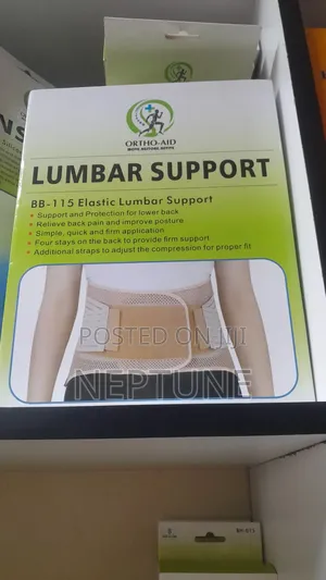 Lumbar Support Ortho