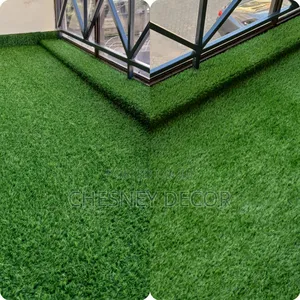 Eco-Friendly Artificial Grass Carpet for Indoor Space
