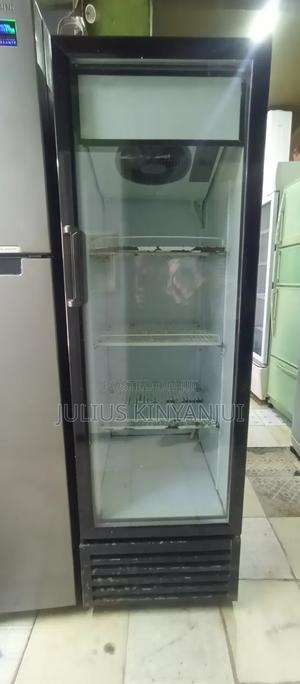 Display Fridge 300L - main view