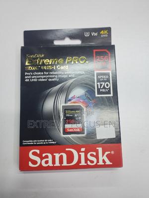 Sandisk 256GB - main view