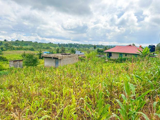 Affordable Residential Plot for Sale in Kikuyu, Rose Gate - thumbnail 3