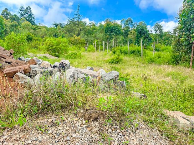 Affordable Residential Plot for Sale in Kikuyu, Rose Gate - thumbnail 6