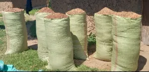 Ochonga(Fresh Water Shrimps)