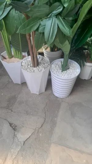 Plastic Vases Available Planters Variety
