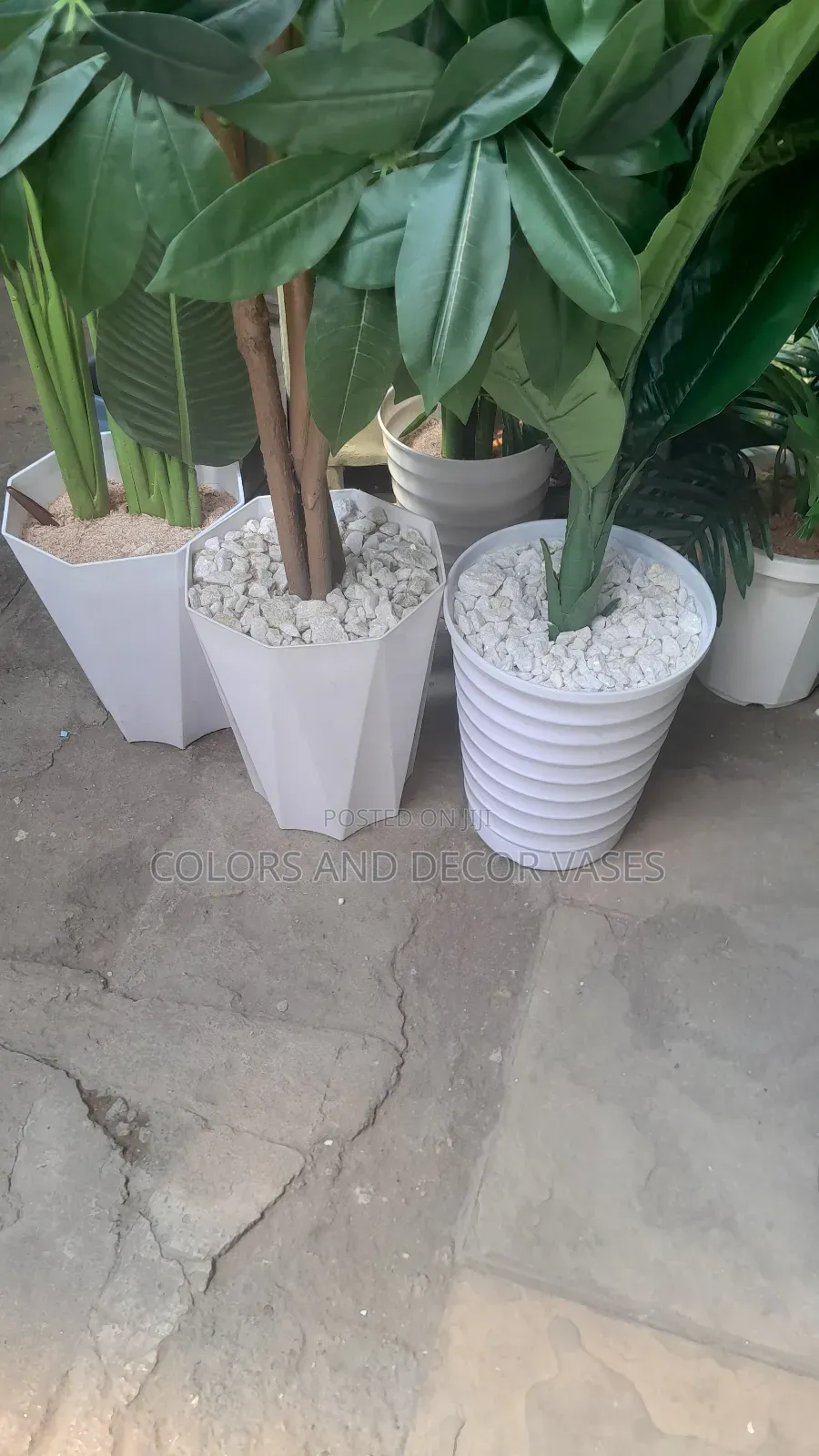Plastic Vases Available Planters Variety