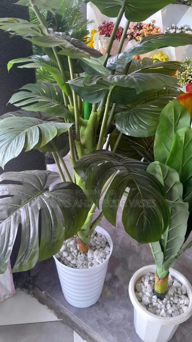 Big Monstera 1.6m Vase, Decorative Stones - main view