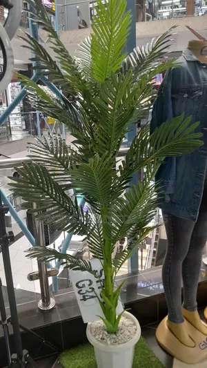 1.5m Long Palm Tree With Vase and Pebble Stones Available