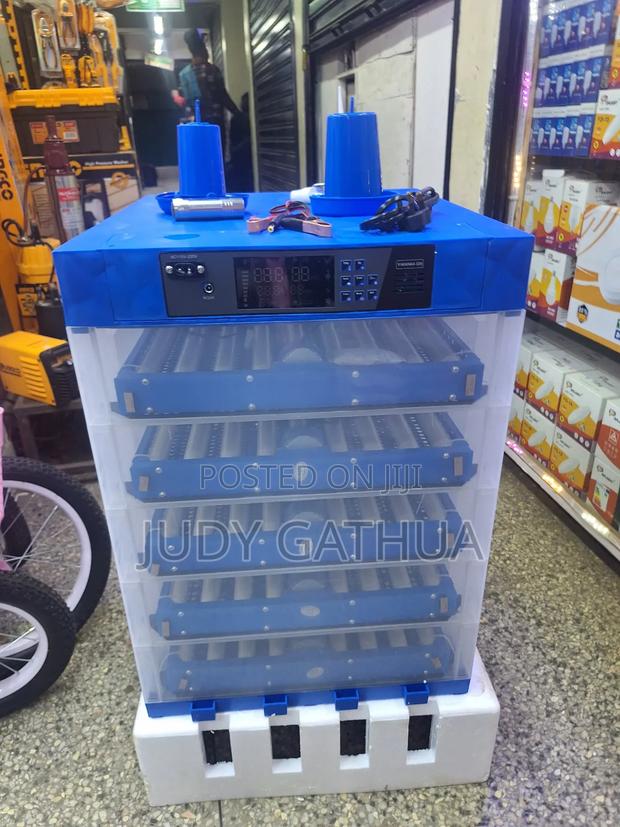 Incubator More Than 300 Eggs