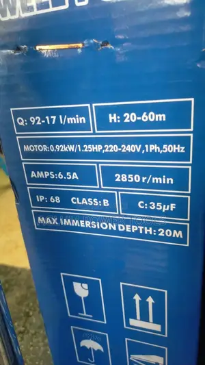 Dayliff Pump 1200 C2