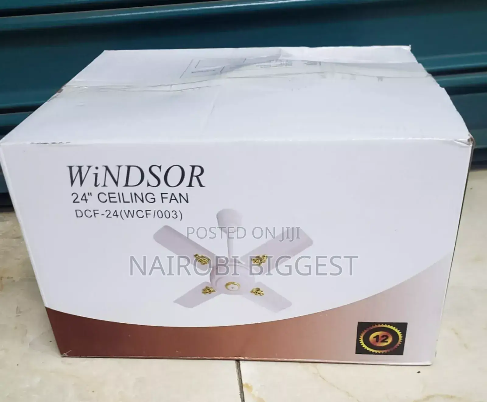 New Windsor 24 Inches Ceiling Fan