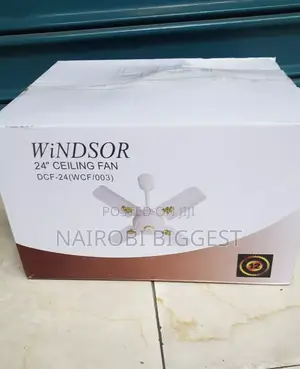 Original Windsor 24 Inches Ceiling Fan