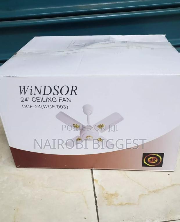 Original Windsor 24 Inches Ceiling Fan