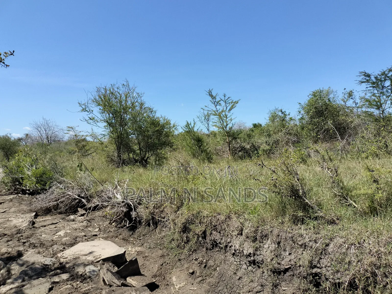 Kilifi 750 Acre Land on Sale