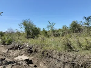 Kilifi 750 Acre Land on Sale
