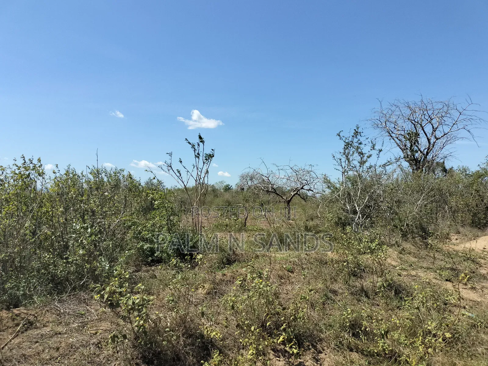 Kilifi 750 Acre Land on Sale