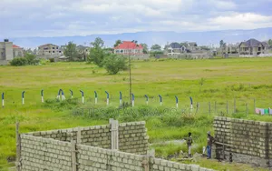Residential Plots in Katani, 50 by 100 Ww^
