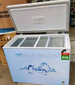 Ecomax 169 Litres Best Freezer