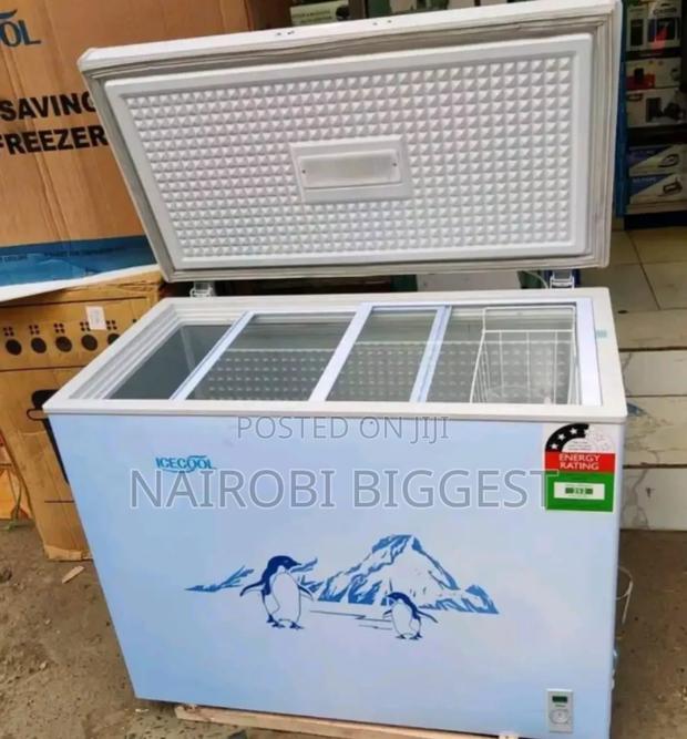 Excellent Power Saver Icecool 219 Litres Freeze
