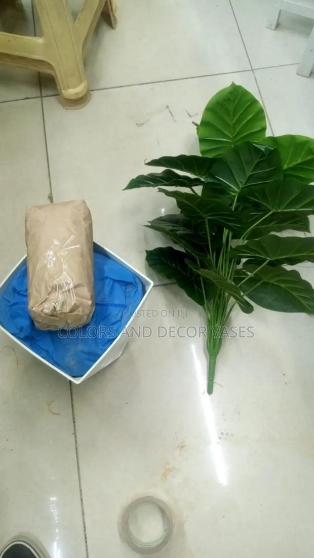 Plant 18leaves, Vase Plus Stones White - main view