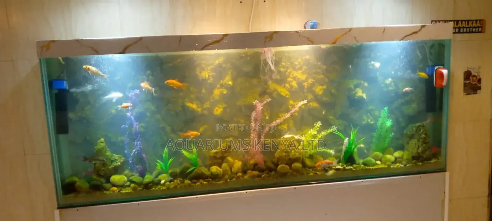 Wall Aquarium, Open Set Up Room Divider Aquarium