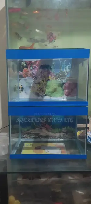 Small Aquariums Wholesale More Than 2
