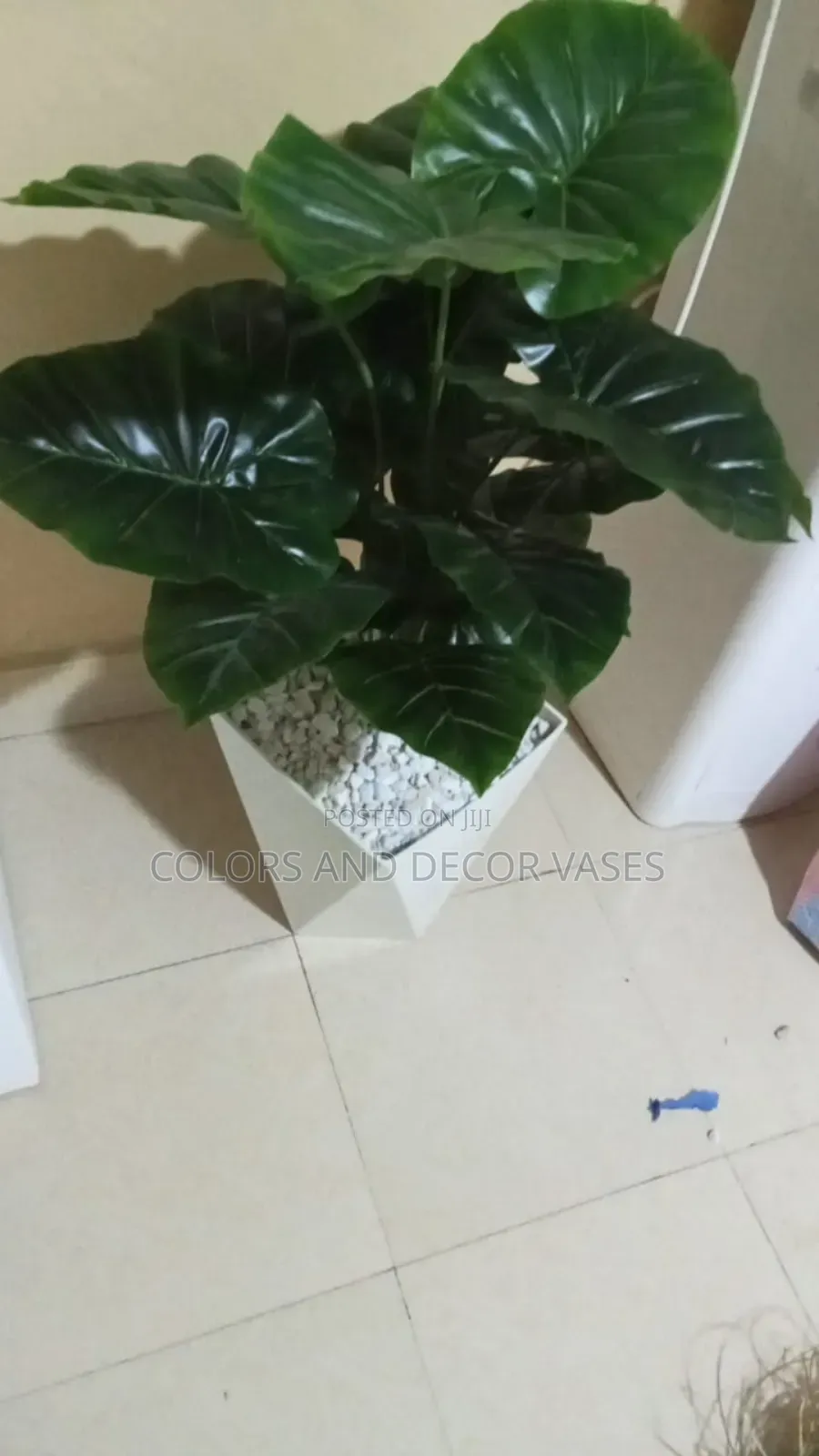 Vase,Plant With Pebble Stones KSH Offer