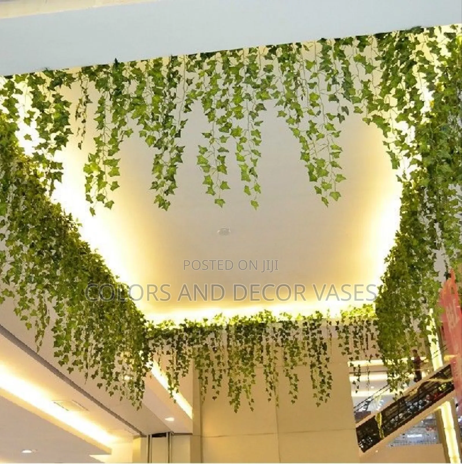 Money Plants Roof Decor