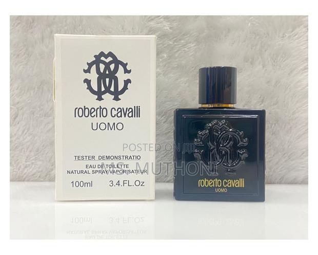 Roberto Cavali Uomo EDT 100 Ml Tester - main view