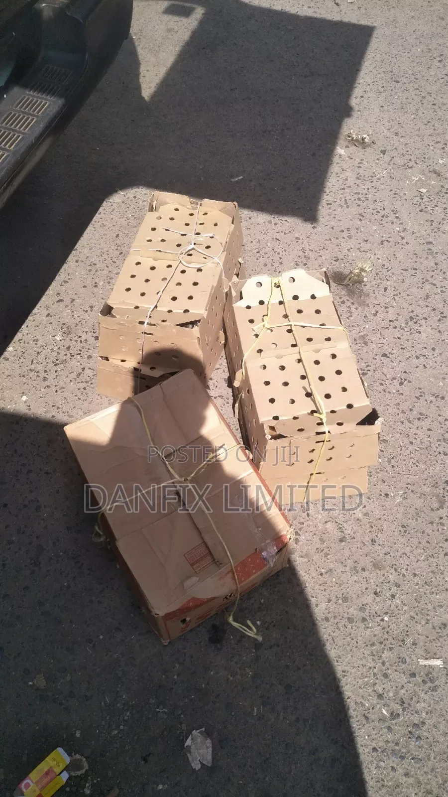 Improved Kienyeji Chicks for Sale