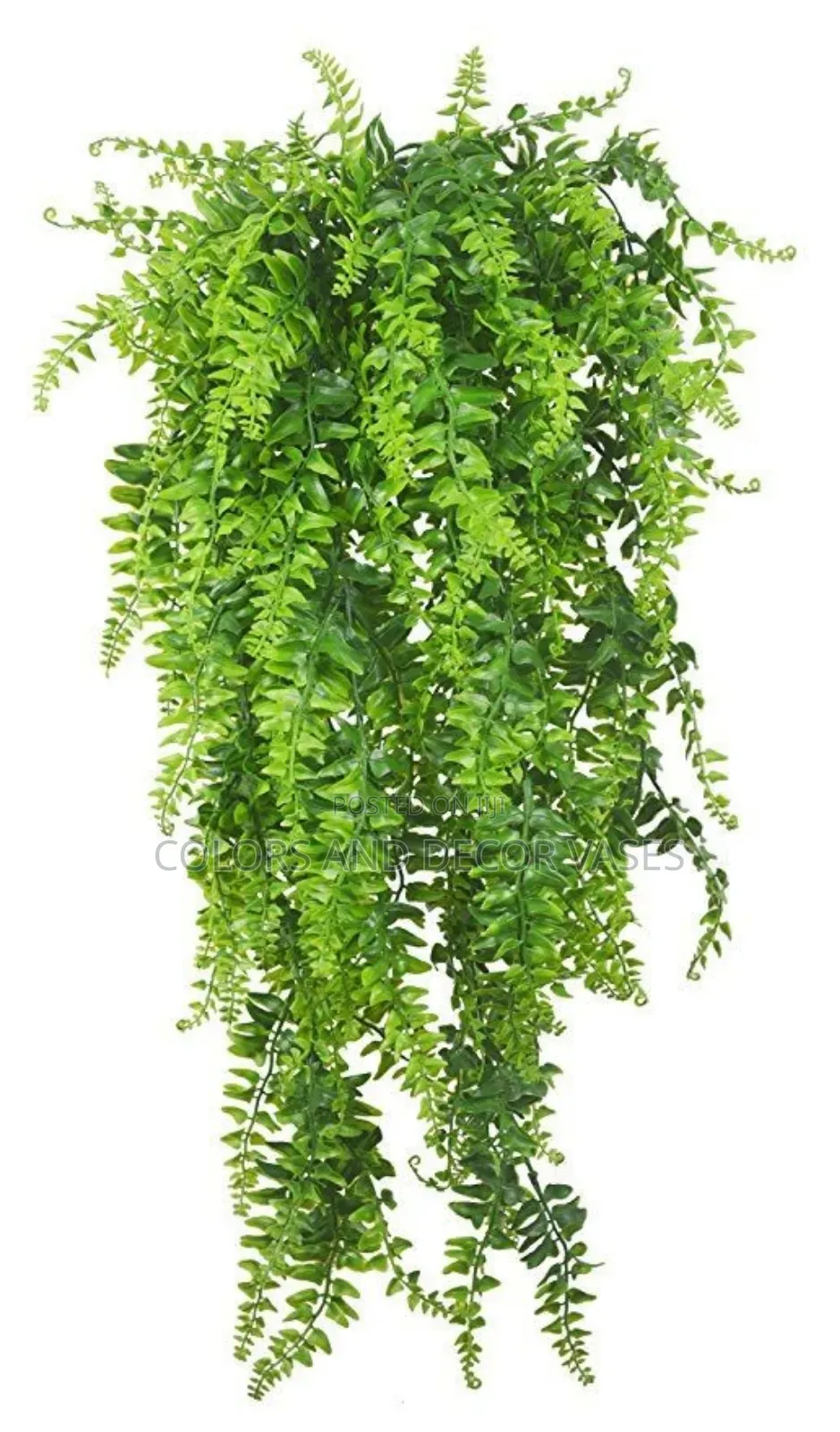 Hanging Vines KSH 1000