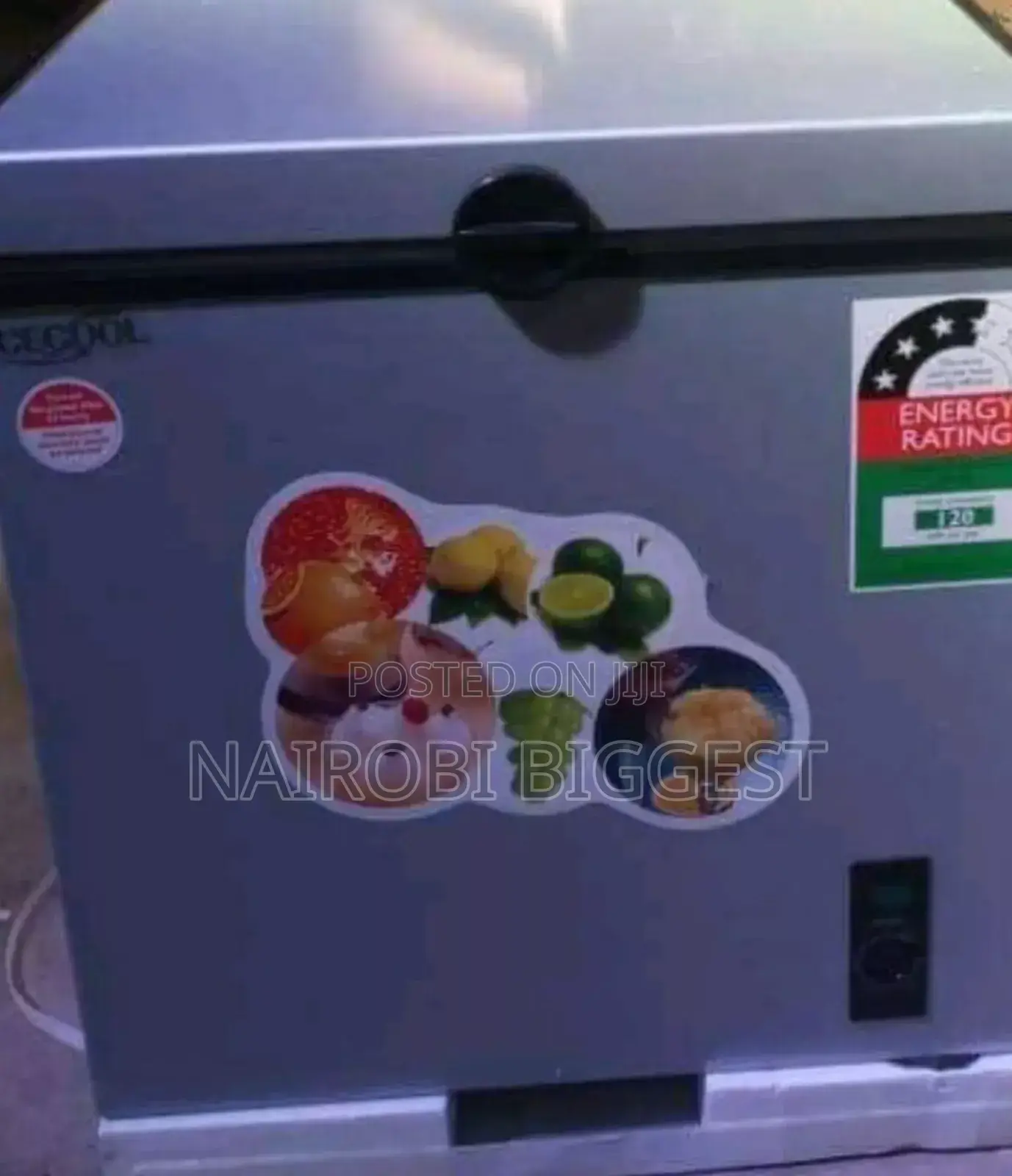 Ice Cool Freezer 60 Litres Power Saver