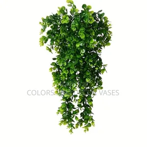 Hanging Vines Available