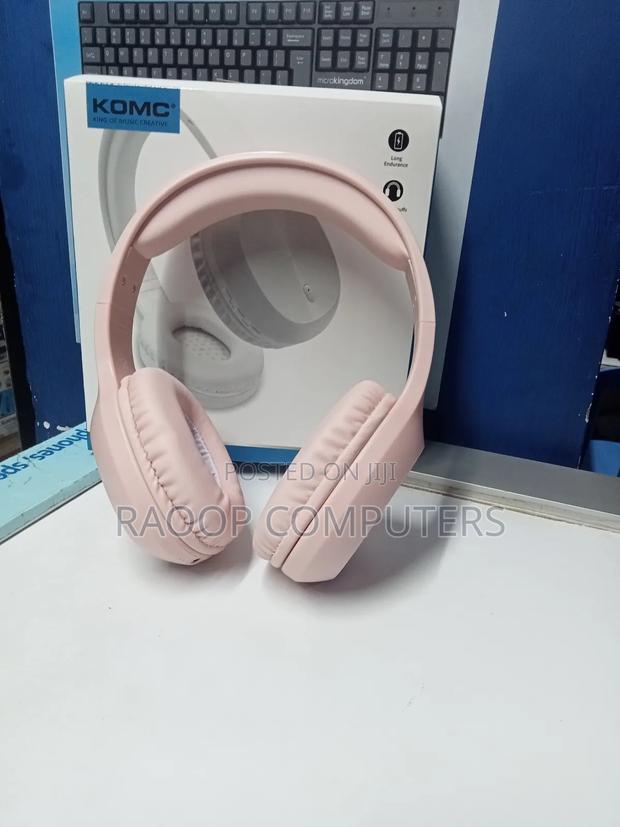 B313 Headphones - main view