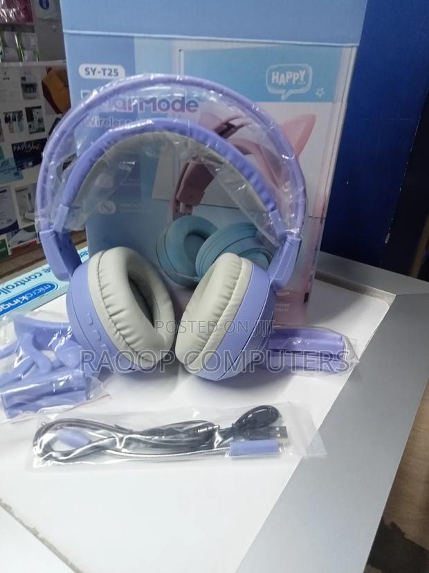 Dual Mode Wireless Headphones - main view