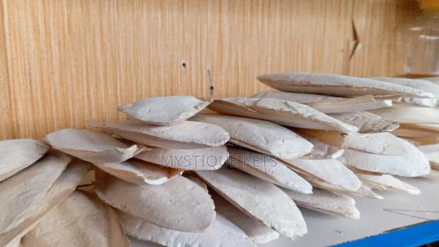 Cattle Bones - main view