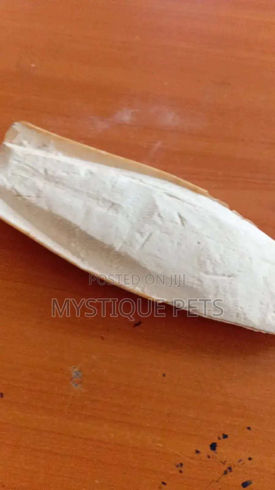 Cattle Bones