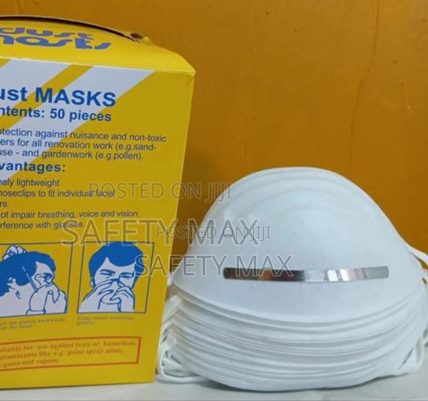 Dust Mask(50pcs)