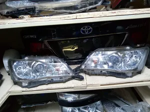 Filder 161 Xenon Headlights 2013/2014