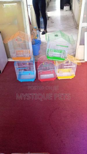 Small Cages - main view