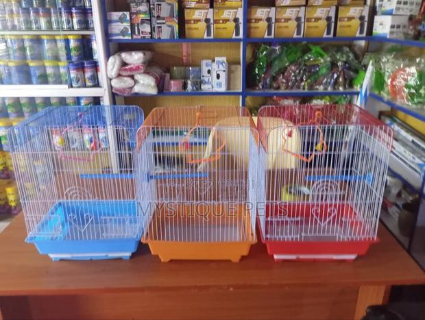 Birds Cages. - main view