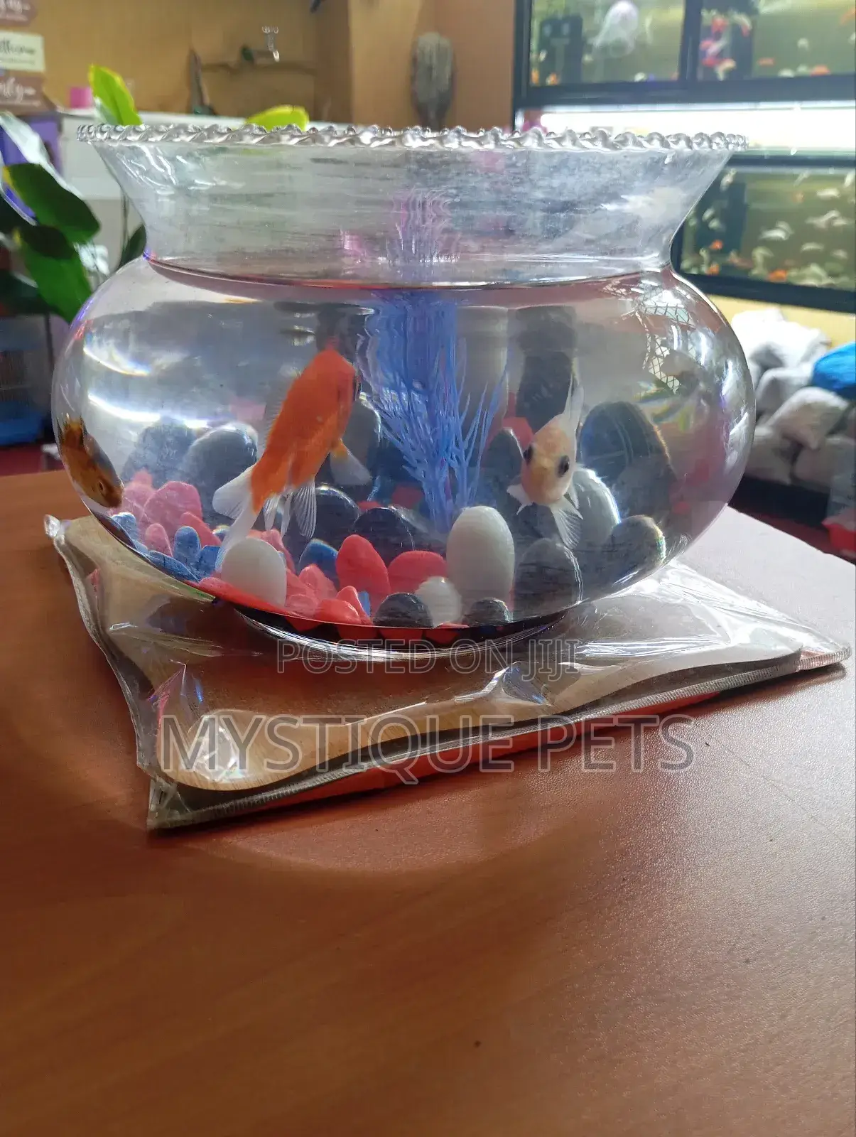 Fish Bowl With Fish