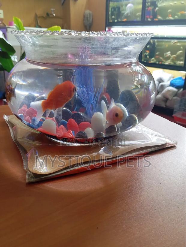 Fish Bowl With Fish - thumbnail 3