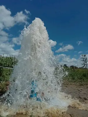 Borehole Drilling And Rehabilitation Services
