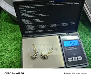 Gram Scale/Pocket Scale