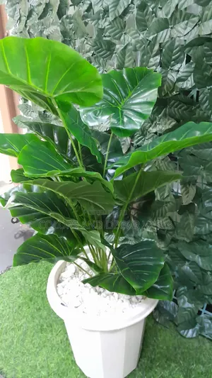 Plant,Vase Plastic/ White Pebble 1500ksh