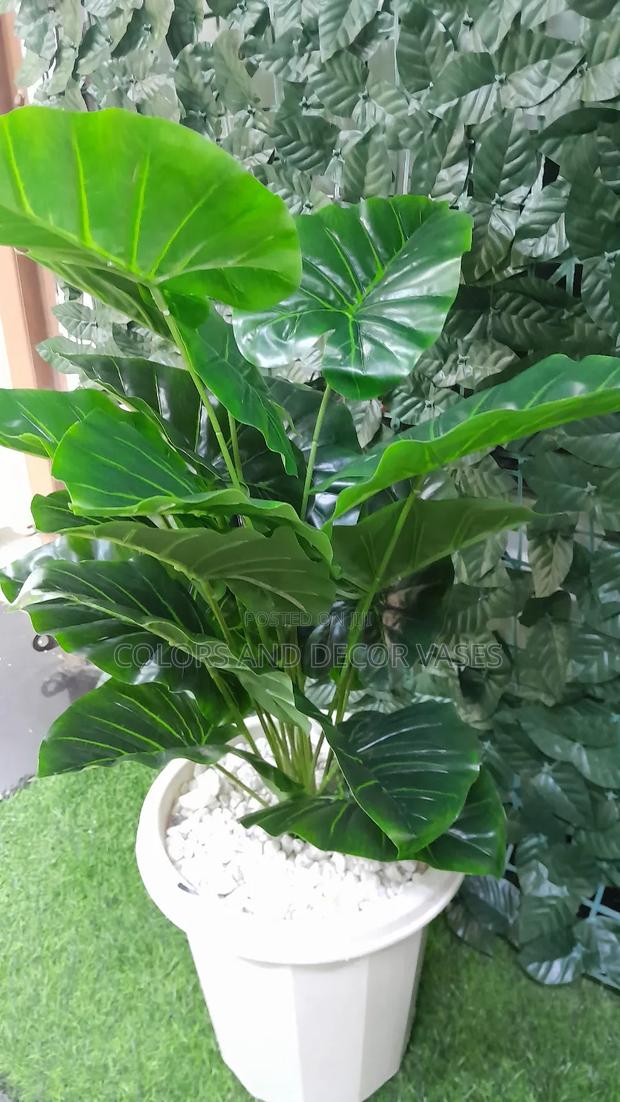 Plant,Vase Plastic/ White Pebble 1500ksh