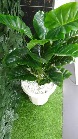 Vase White, Plant Artificial and Decorative Stones