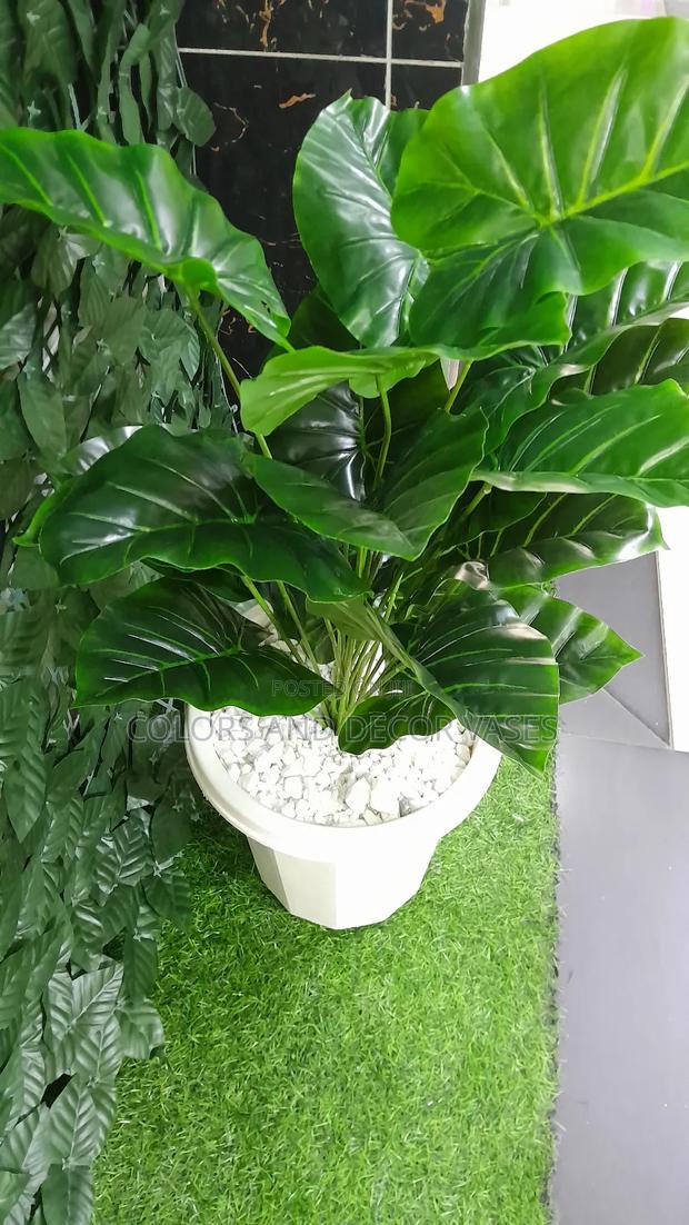 Vase White, Plant Artificial and Decorative Stones