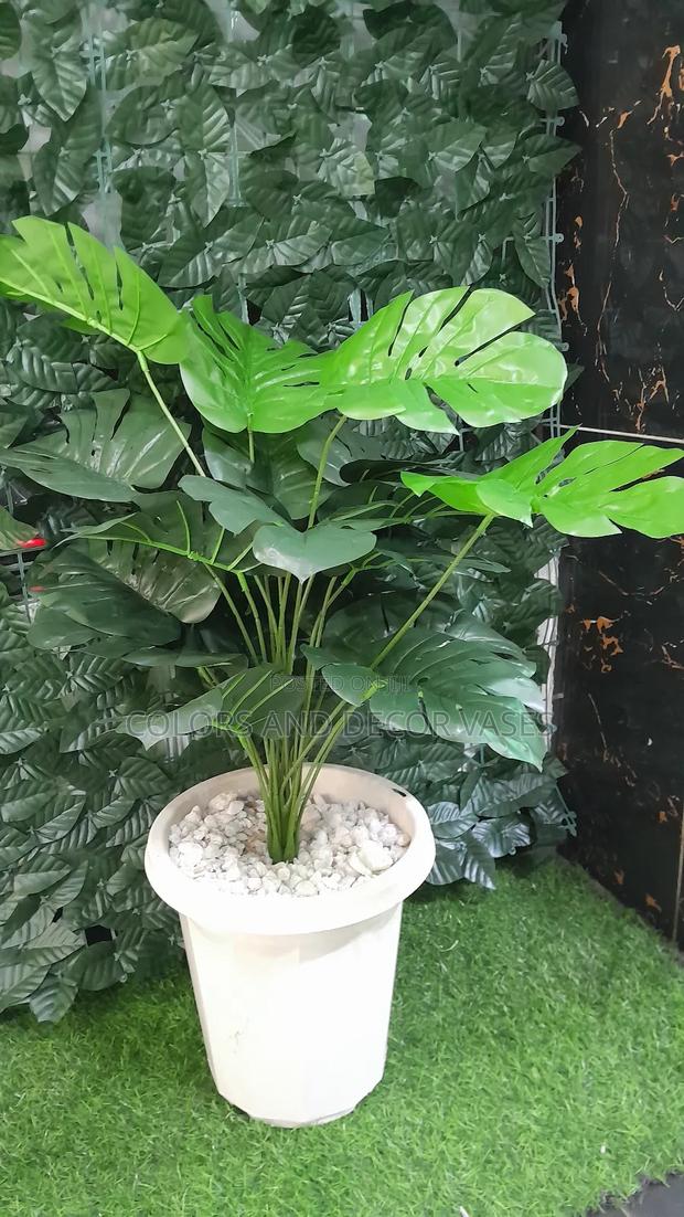 Monstera 18leaves, Plastic Vase and Stones Decorative